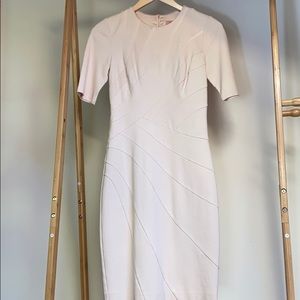 Ted Baker Nude Blush Dress